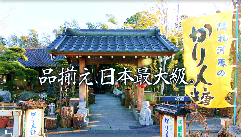 品揃え、日本最大級